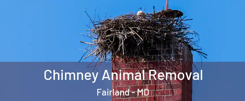 Chimney Animal Removal Fairland - MD