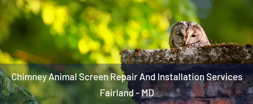  Chimney Animal Screen Repair And Installation Services Fairland - MD