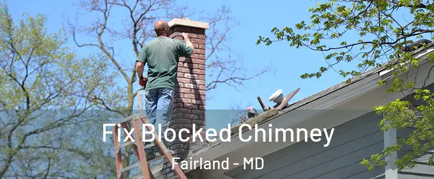  Fix Blocked Chimney Fairland - MD