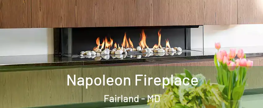  Napoleon Fireplace Fairland - MD
